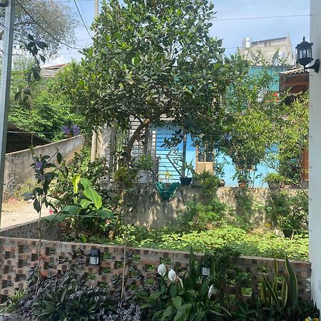 Laycam Home Nghia Lo المظهر الخارجي الصورة